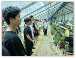 3a3a06b8c6d34a419ada92f53373d455.png image.png