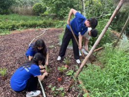 701e3ee41bbe494e95973bda3ce2ab11.png image.png